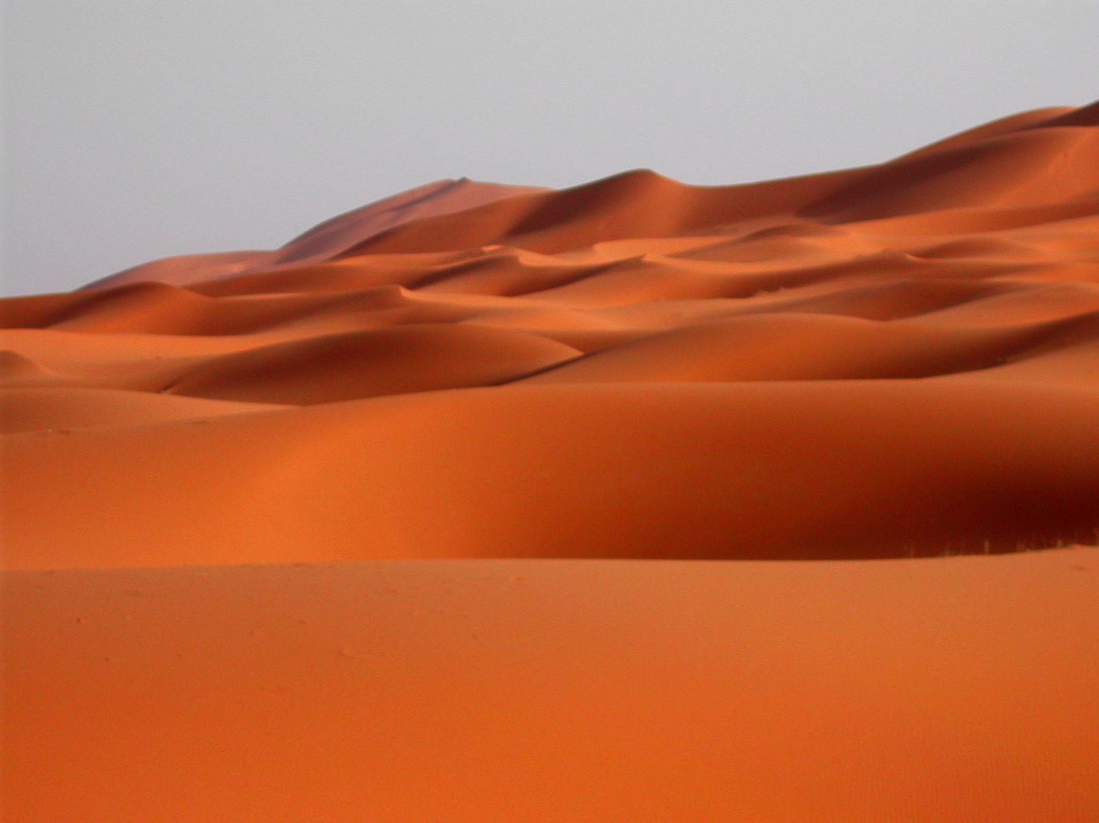 Sahara Desert Merzouga Luxury Tour